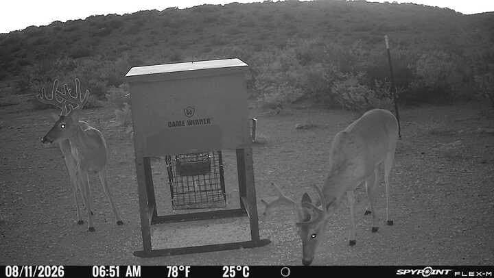 100,000 acres in Val Verde County - photo 7