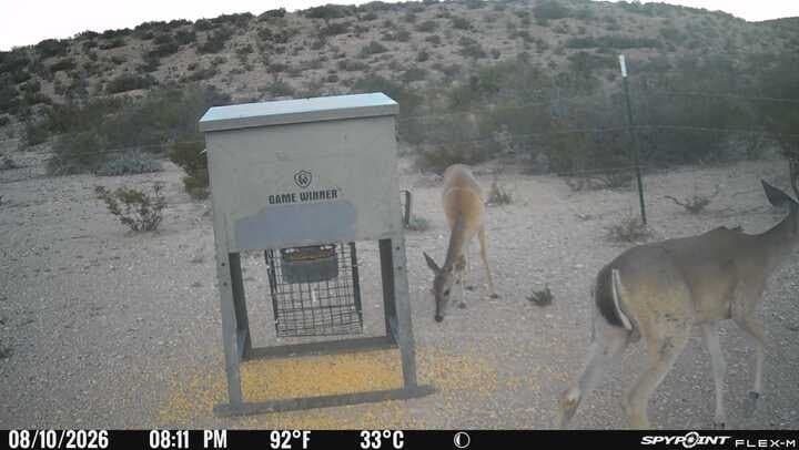 100,000 acres in Val Verde County - photo 6
