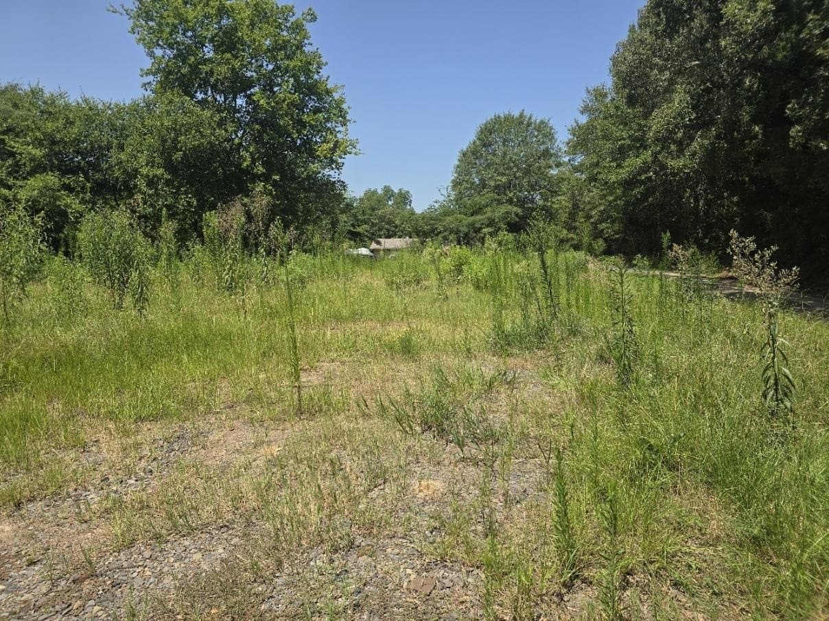 0.24 acres in Texas County gallery image 2