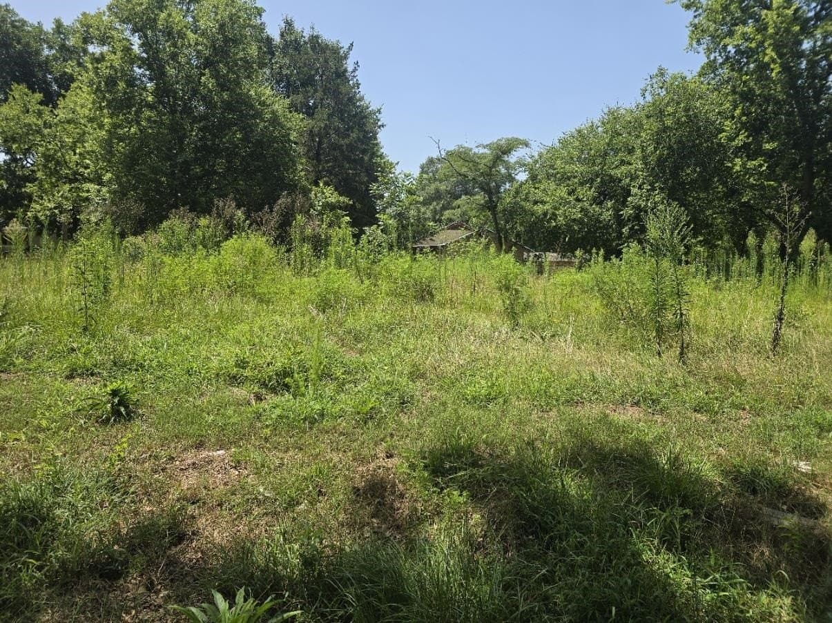 0.24 acres in Texas County gallery image 4