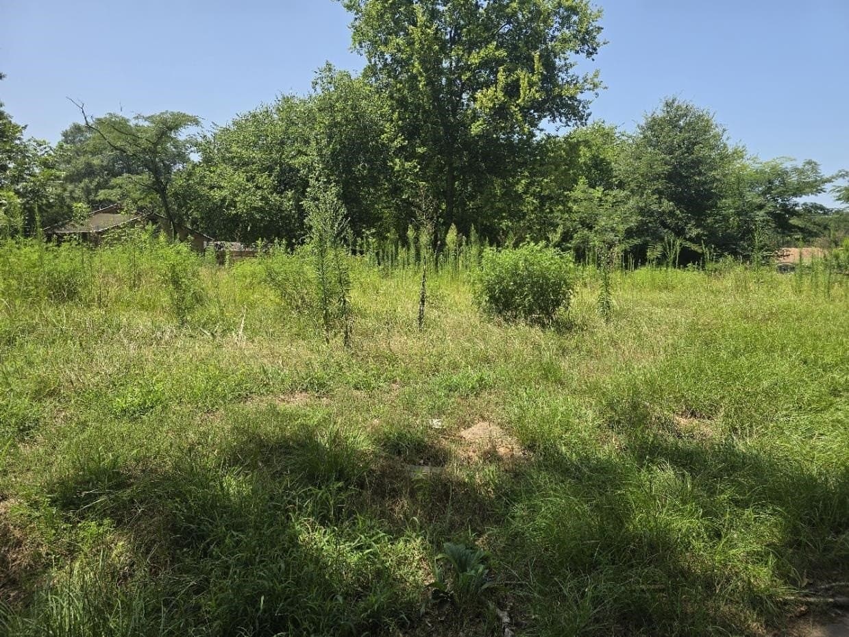 0.24 acres in Texas County featured view
