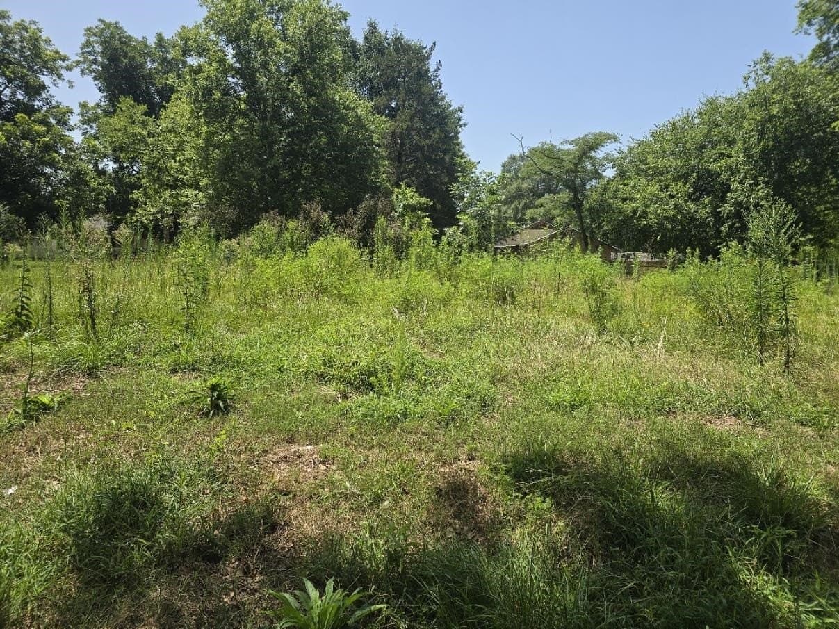 0.24 acres in Texas County - photo 6
