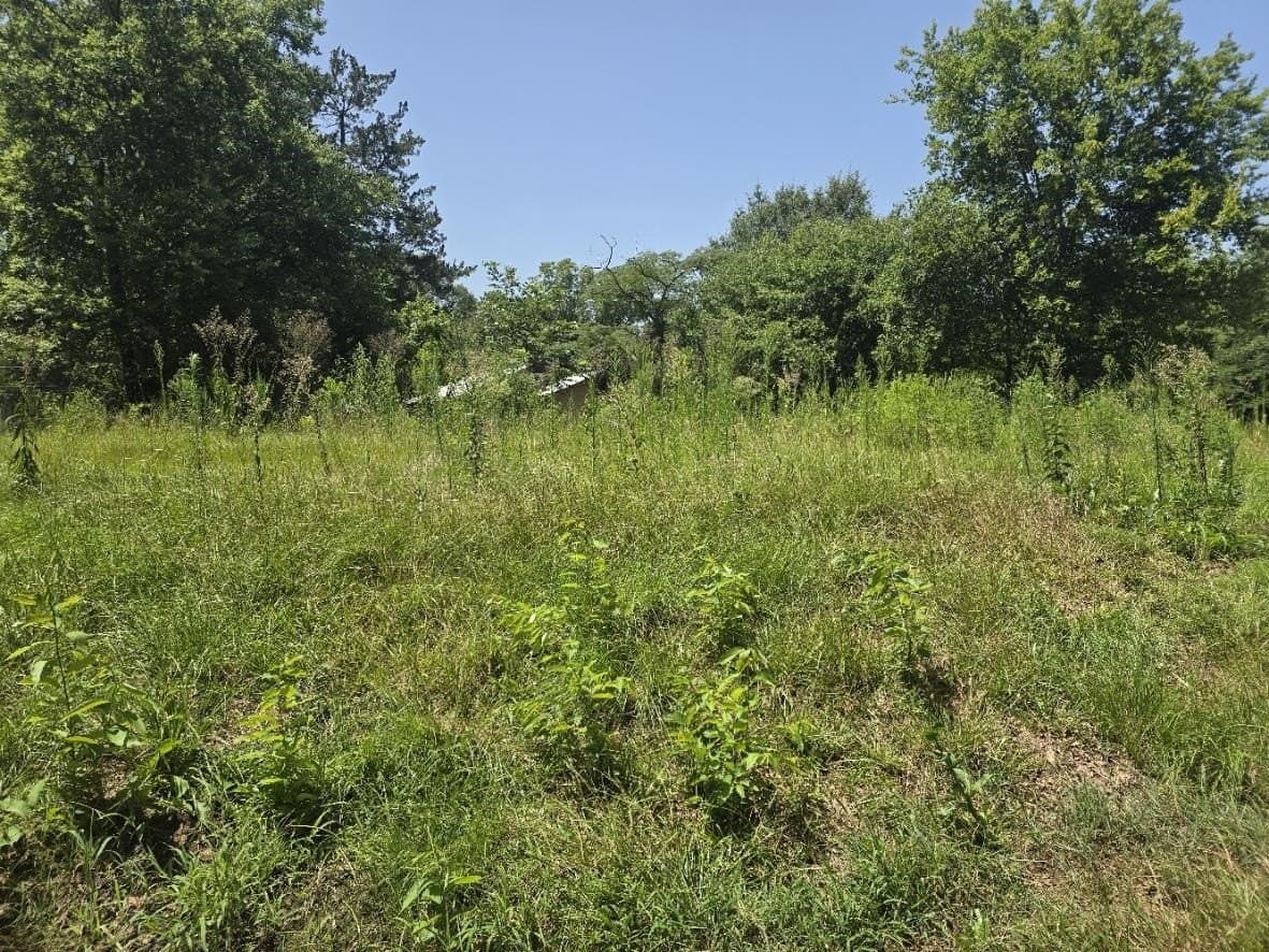 0.24 acres in Texas County gallery image 3
