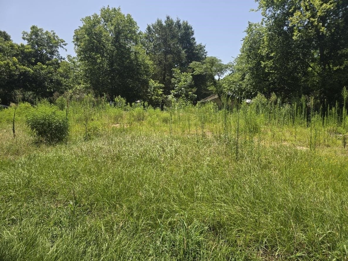 0.24 acres in Texas County - photo 7