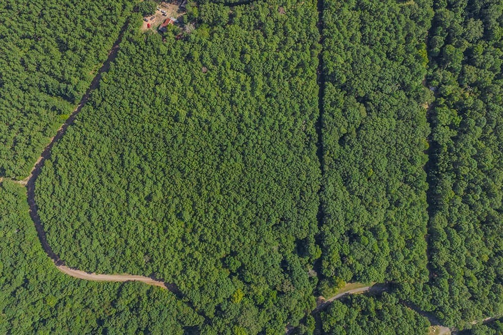 22.38 acres in Bowie County - photo 9