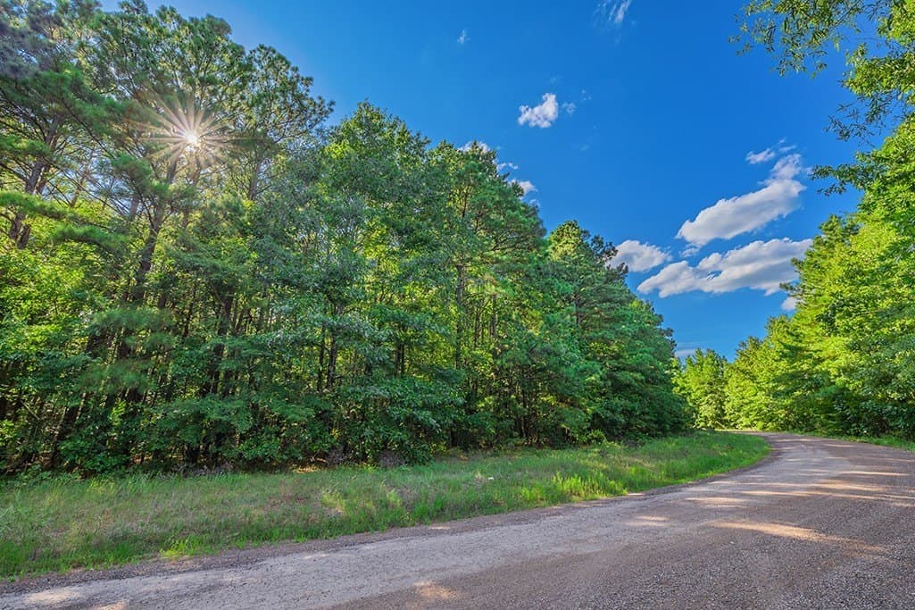 22.38 acres in Bowie County - photo 6