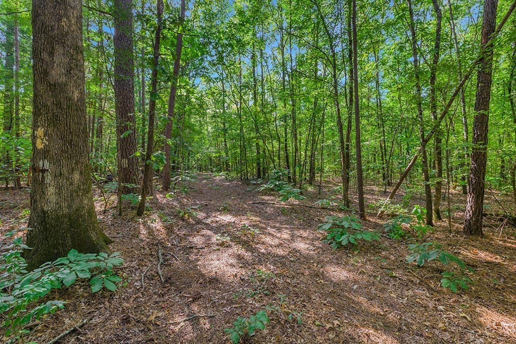 22.38 acres in Bowie County - photo 5