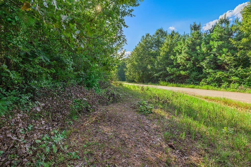 22.38 acres in Bowie County - photo 2