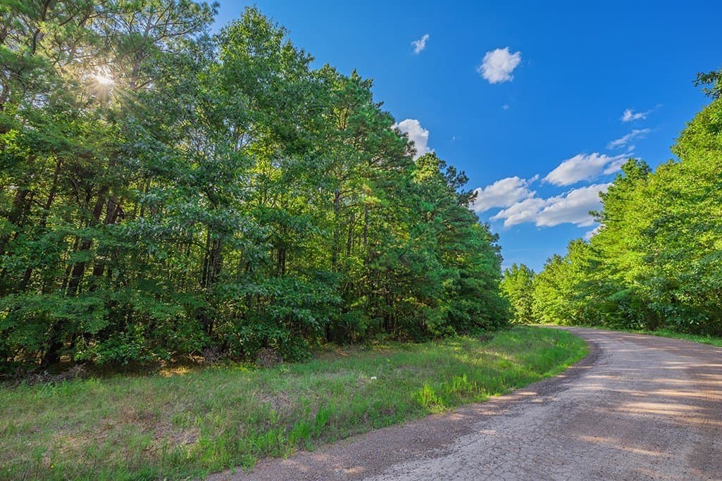 22.38 acres in Bowie County - photo 3