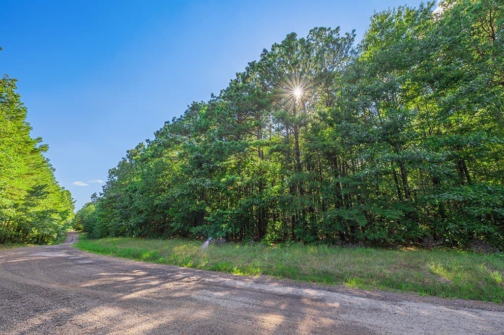22.38 acres in Bowie County - photo 7