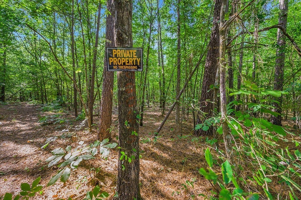 22.38 acres in Bowie County - photo 4