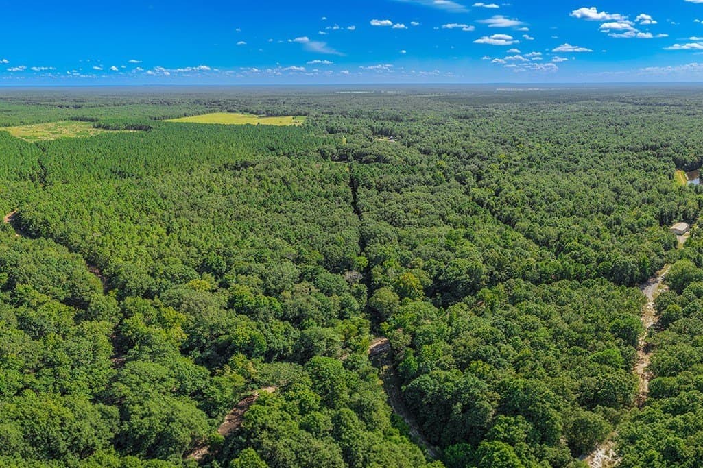 22.38 acres in Bowie County