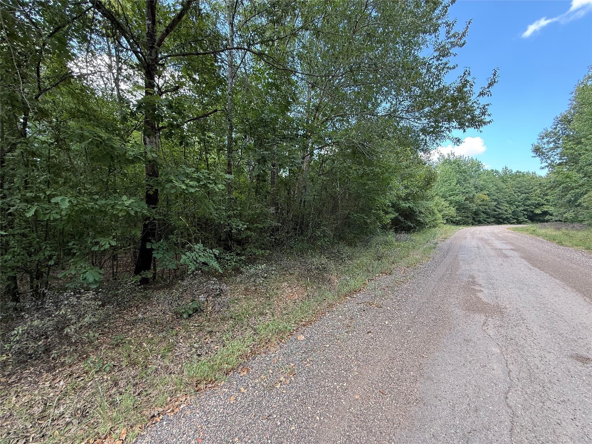 22.38 acres in Bowie County gallery image 3
