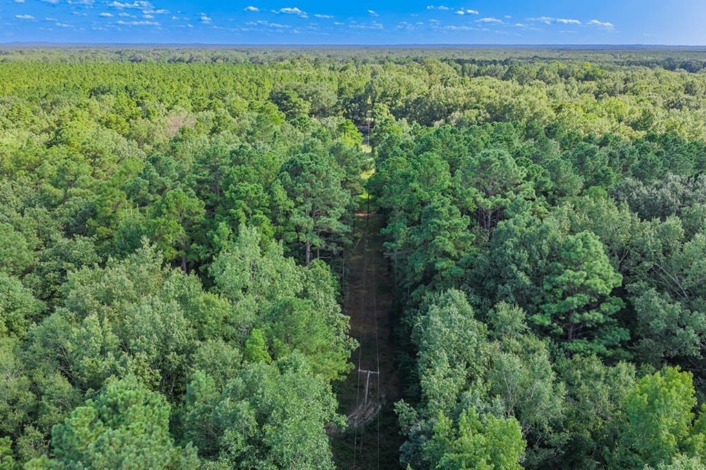 22.38 acres in Bowie County - photo 10
