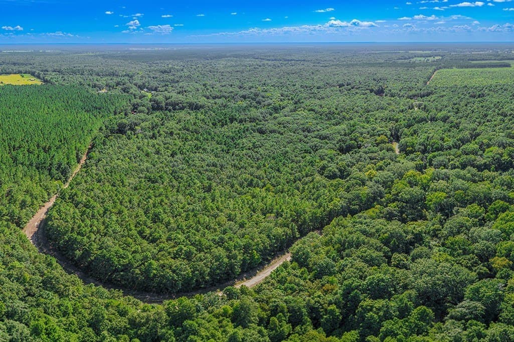 22.38 acres in Bowie County - photo 8