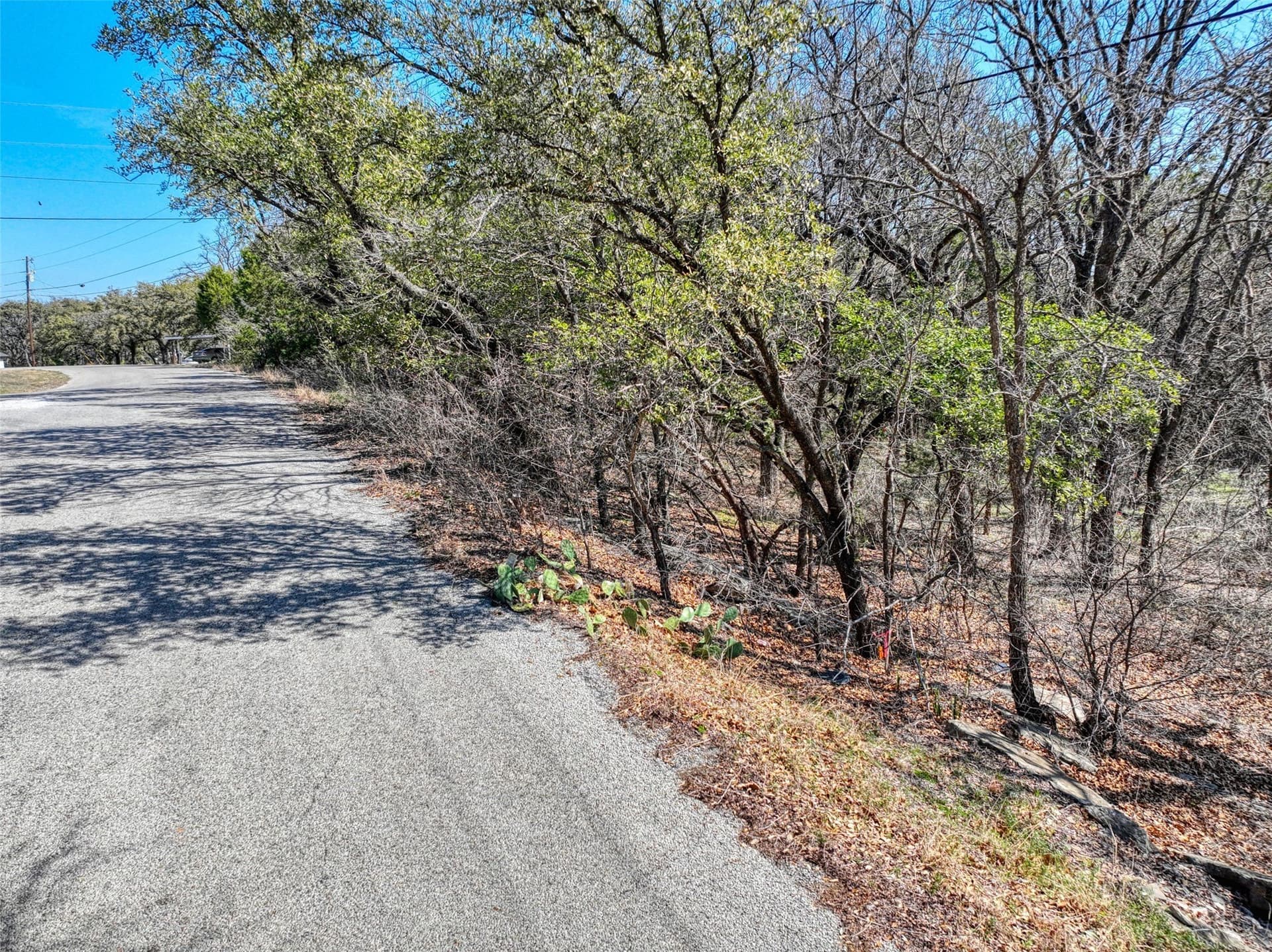 0.6 acres in Hood County - photo 6