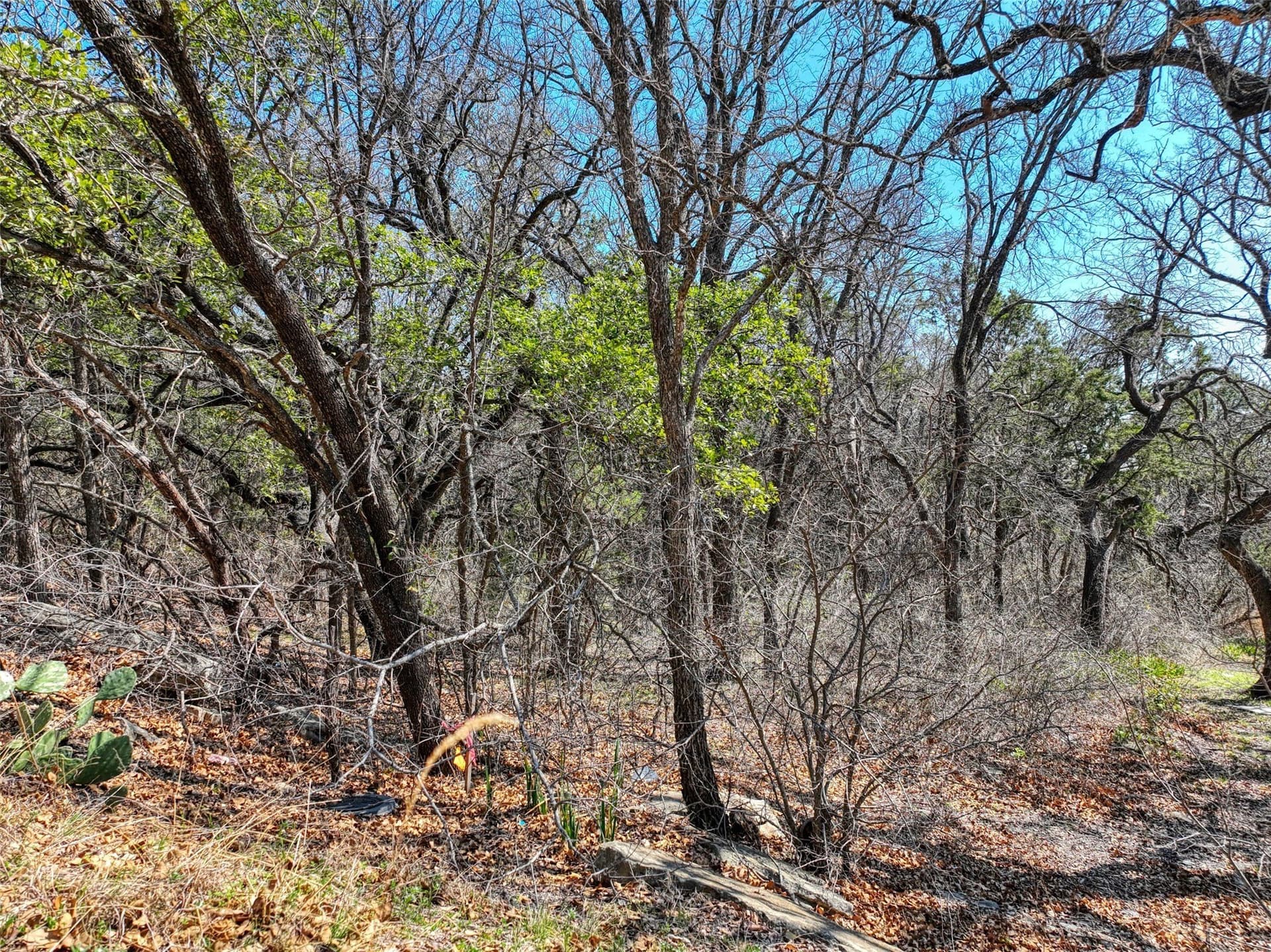 0.6 acres in Hood County - photo 8