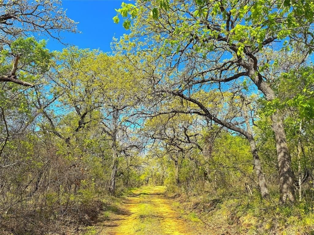 30 acres in Parker County gallery image 4
