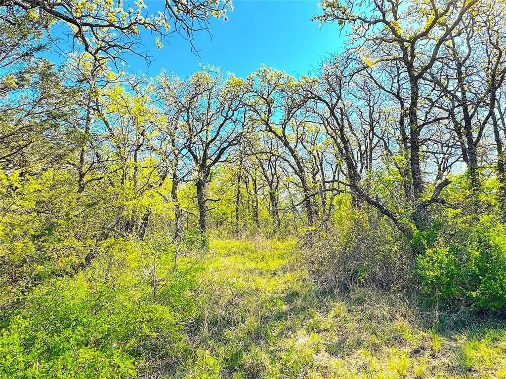 30 acres in Parker County