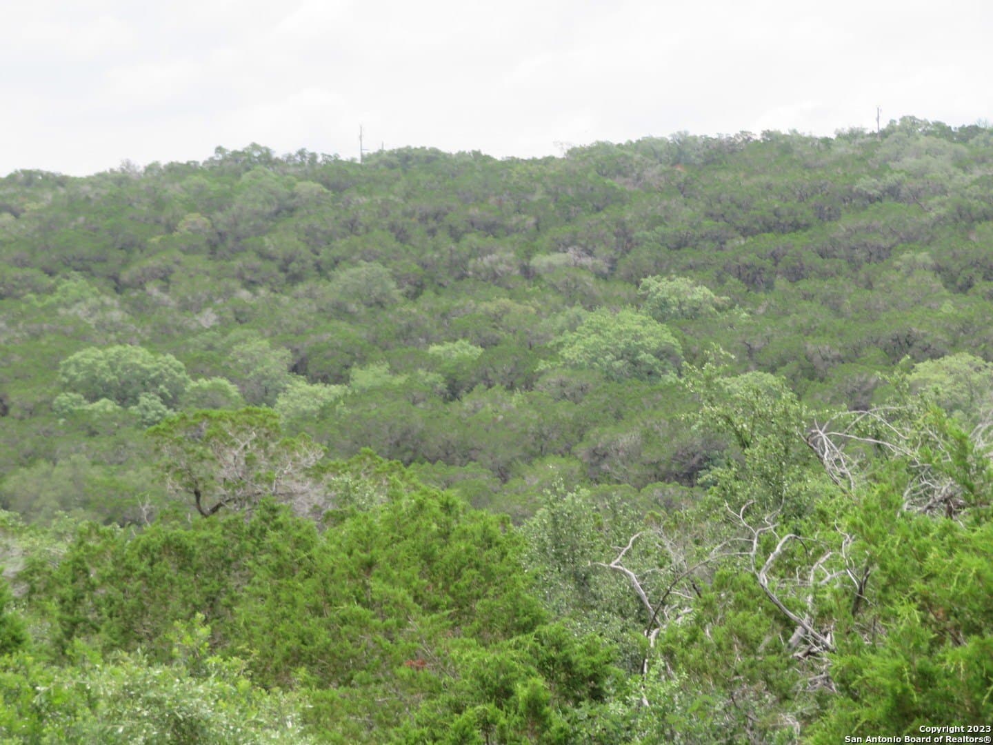 1.19 acres in Bandera County - photo 13