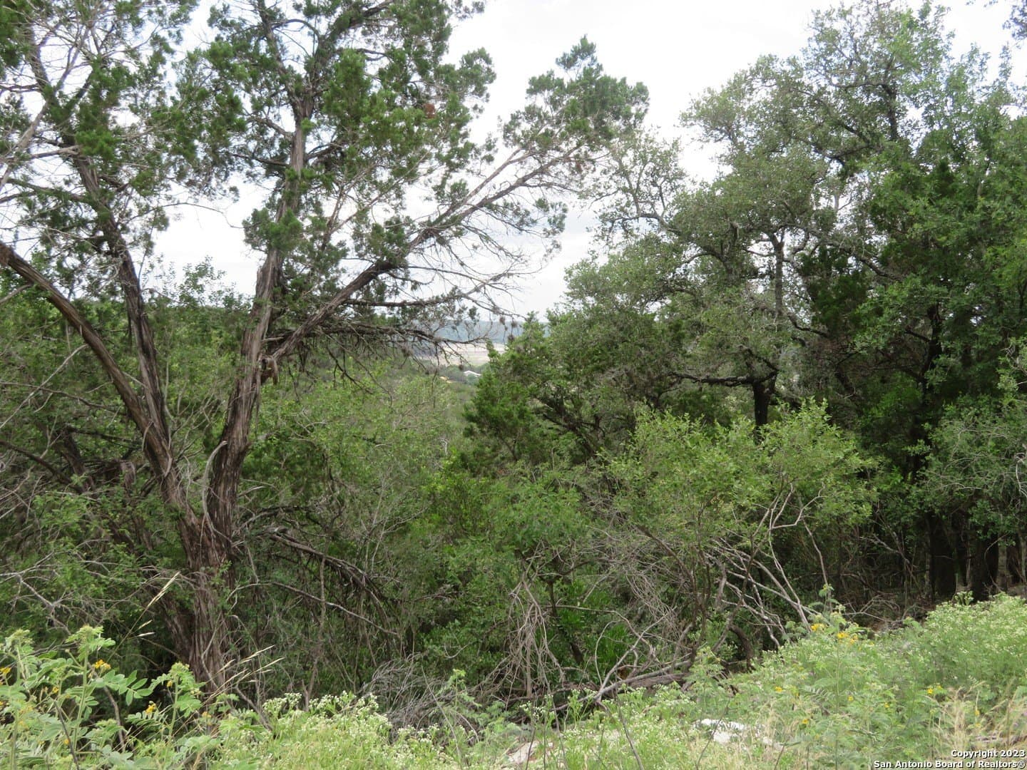 1.19 acres in Bandera County - photo 12