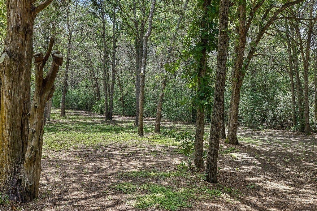 6.16 acres in Bastrop County - photo 17
