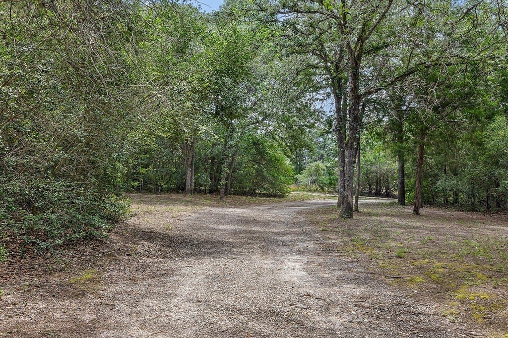 6.16 acres in Bastrop County - photo 19