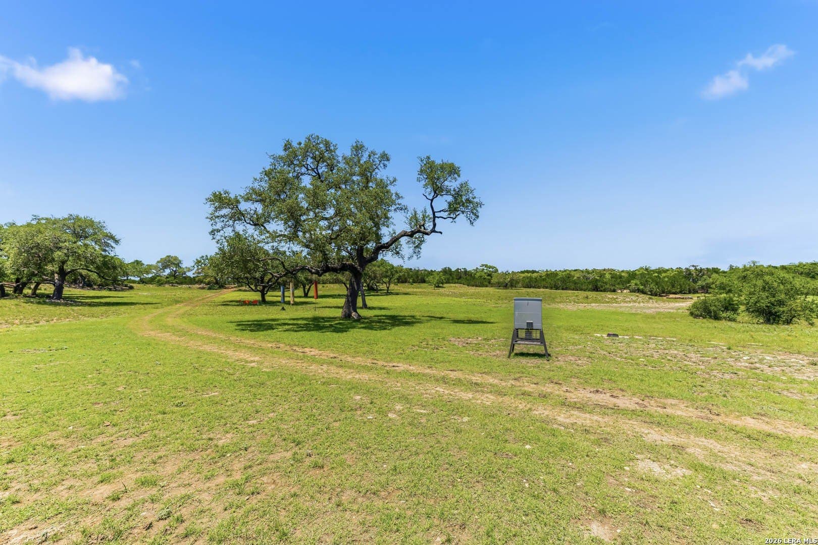 28.26 acres in Comal County gallery image 2