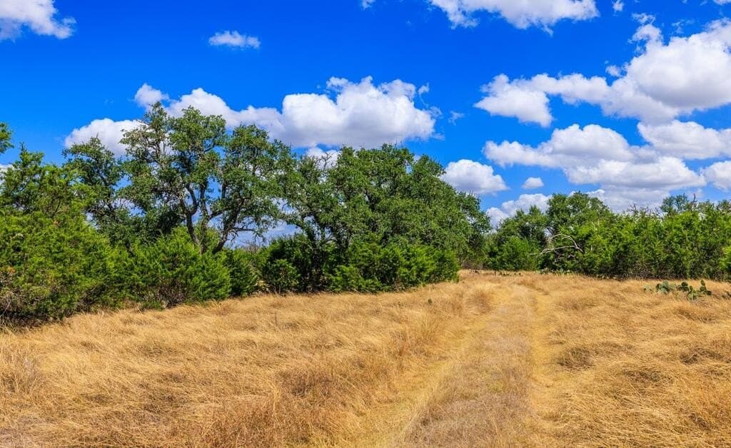 88.77 acres in Gillespie County - photo 16