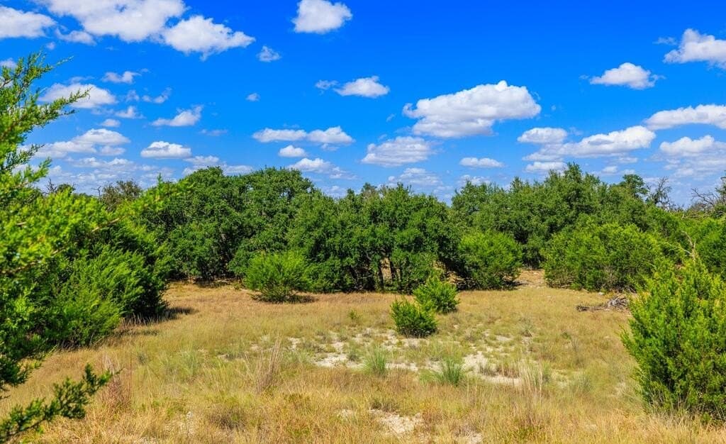 88.77 acres in Gillespie County - photo 17