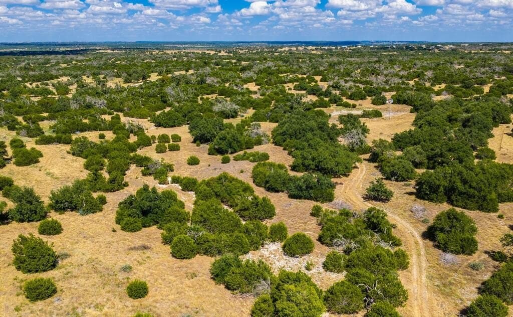88.77 acres in Gillespie County - photo 6