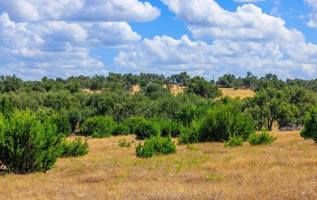 88.77 acres in Gillespie County - photo 18