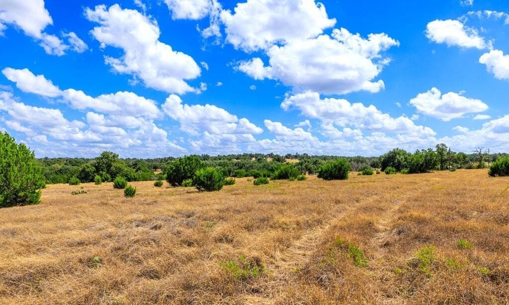 88.77 acres in Gillespie County - photo 19