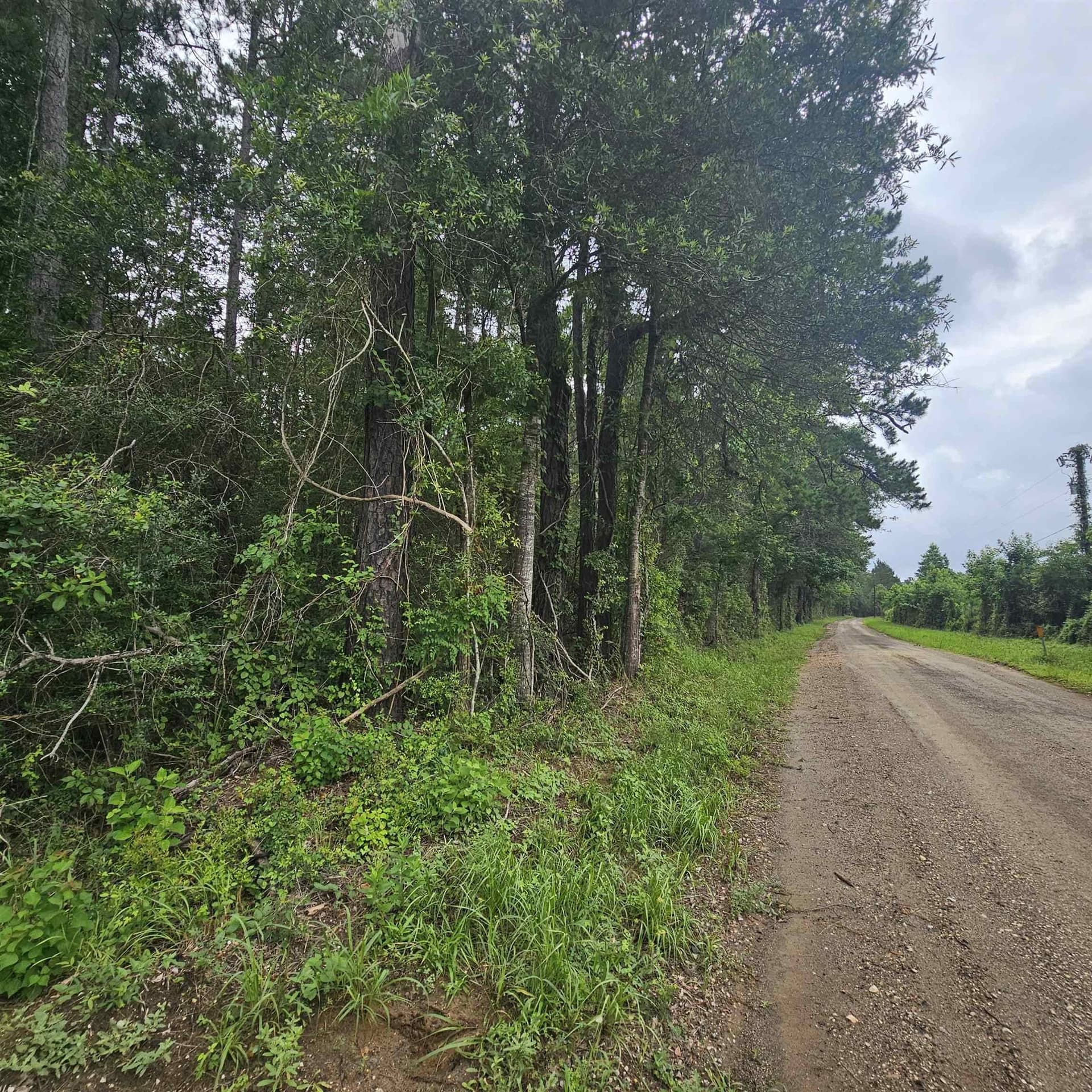 33 acres in Texas County gallery image 3