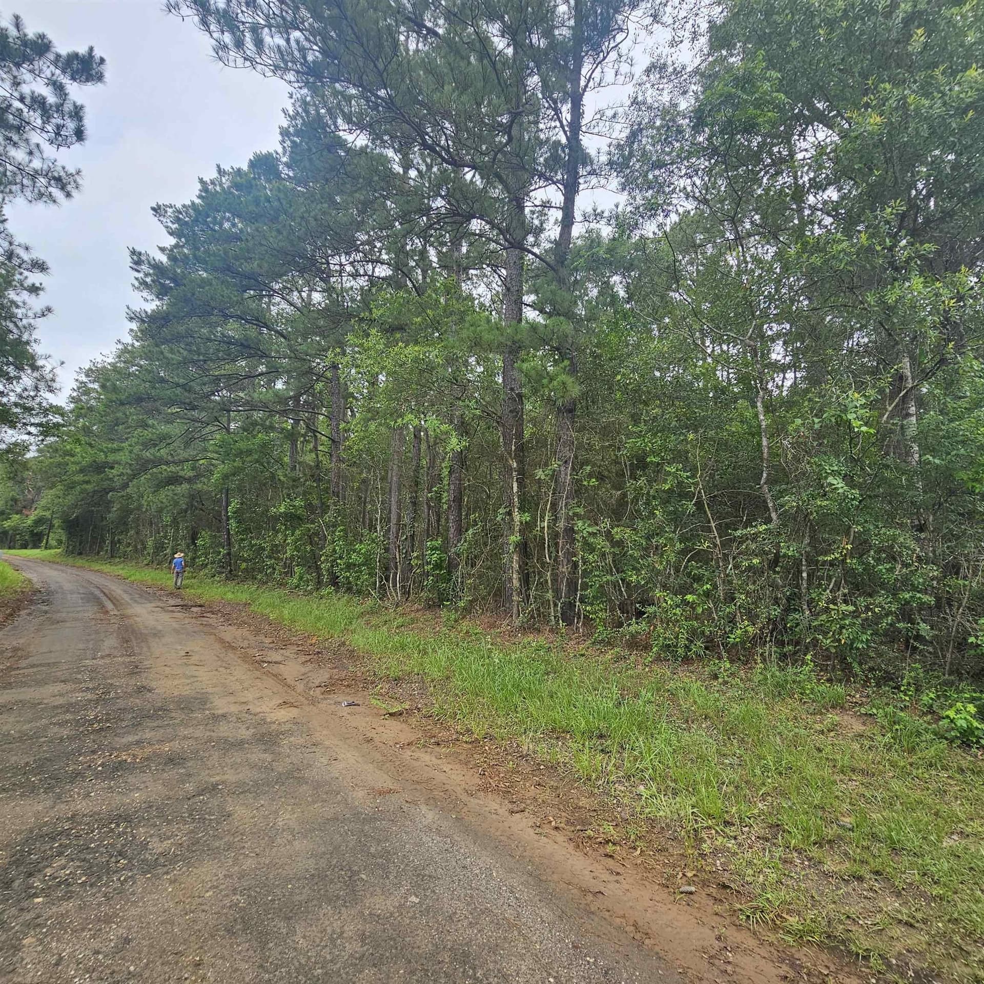 33 acres in Texas County gallery image 2