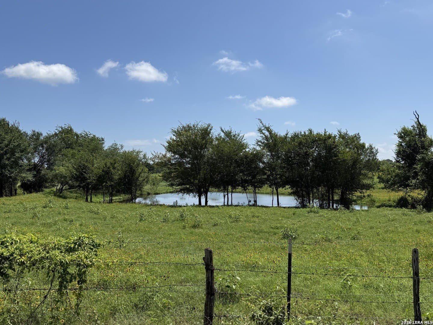 34.34 acres in Falls County gallery image 4