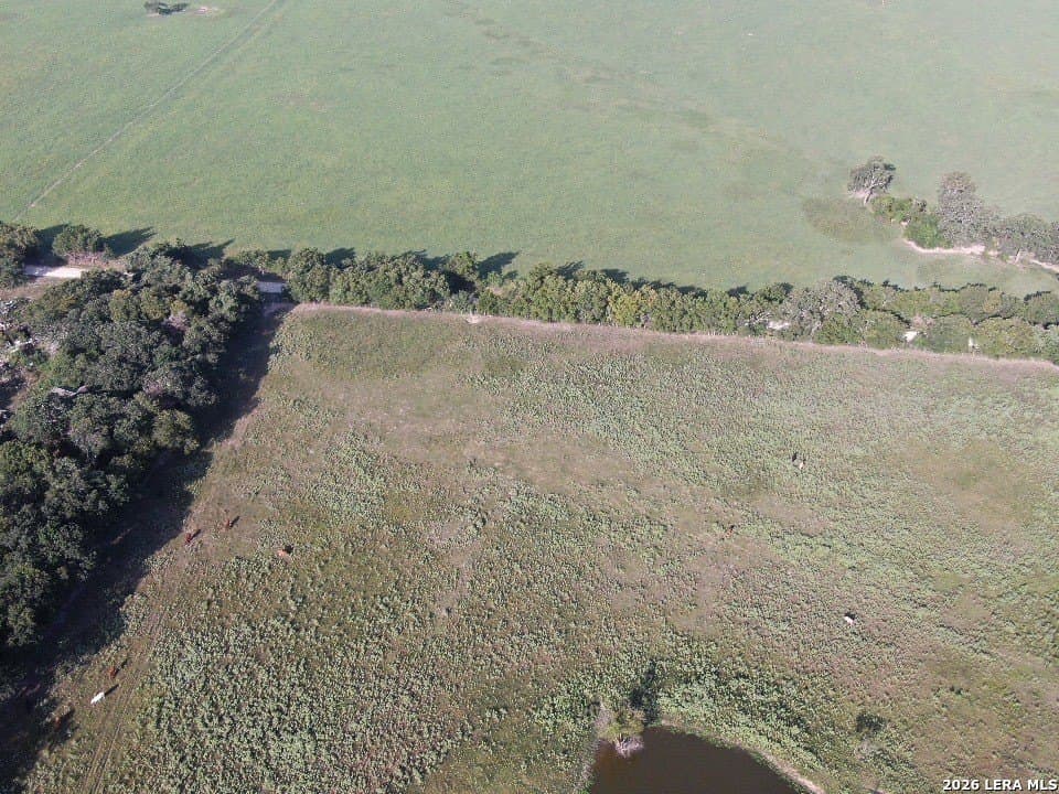 34.34 acres in Falls County - photo 14
