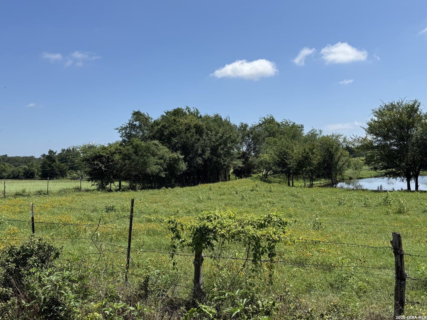 34.34 acres in Falls County featured view