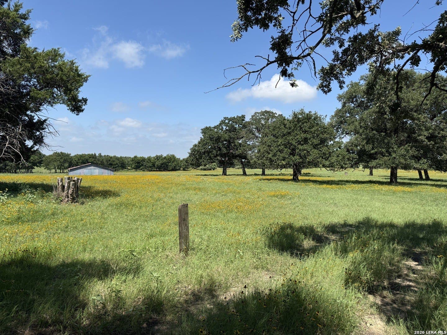 34.34 acres in Falls County gallery image 3