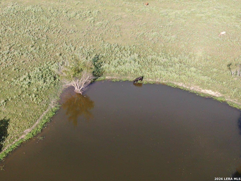 34.34 acres in Falls County - photo 16