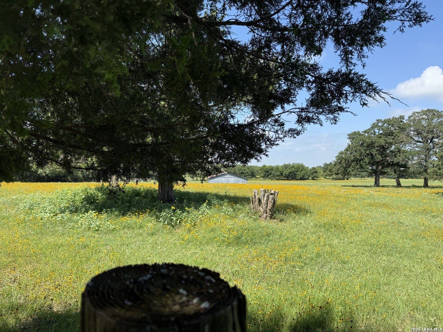 34.34 acres in Falls County gallery image 2