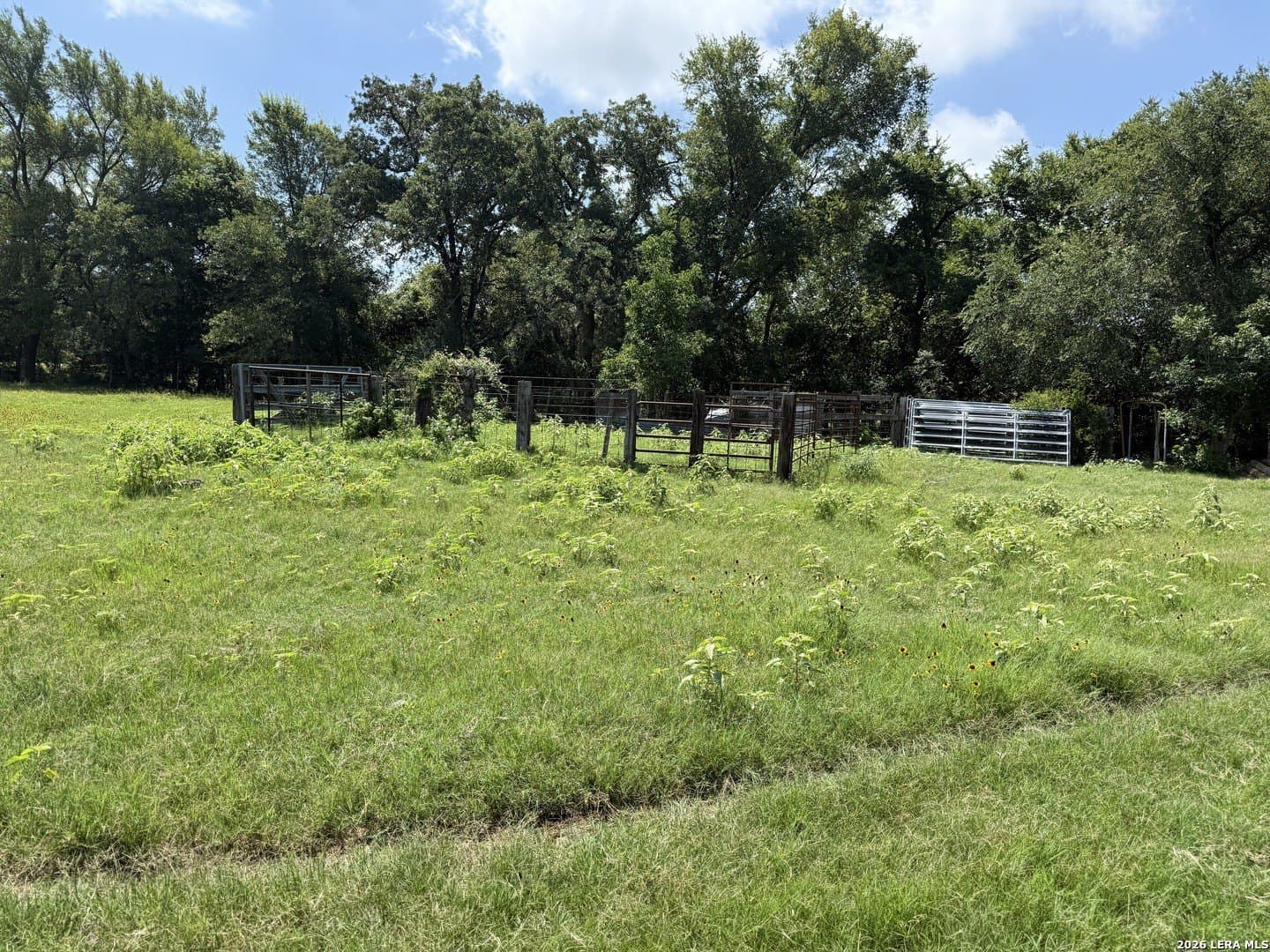 34.34 acres in Falls County - photo 9