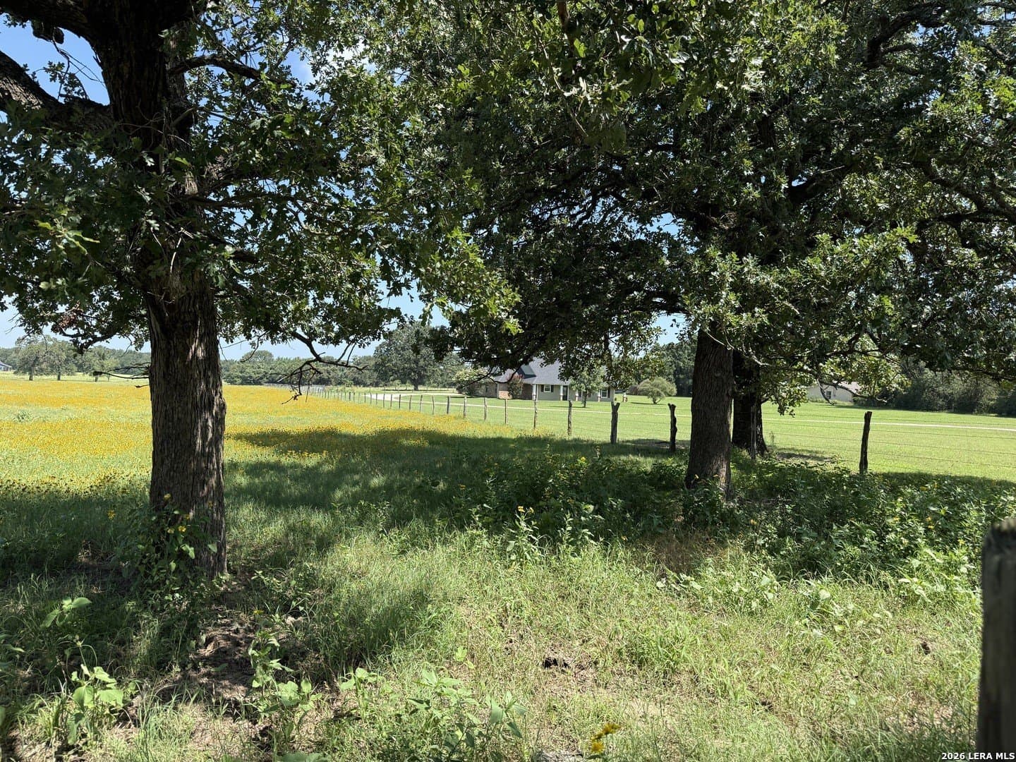 34.34 acres in Falls County - photo 7