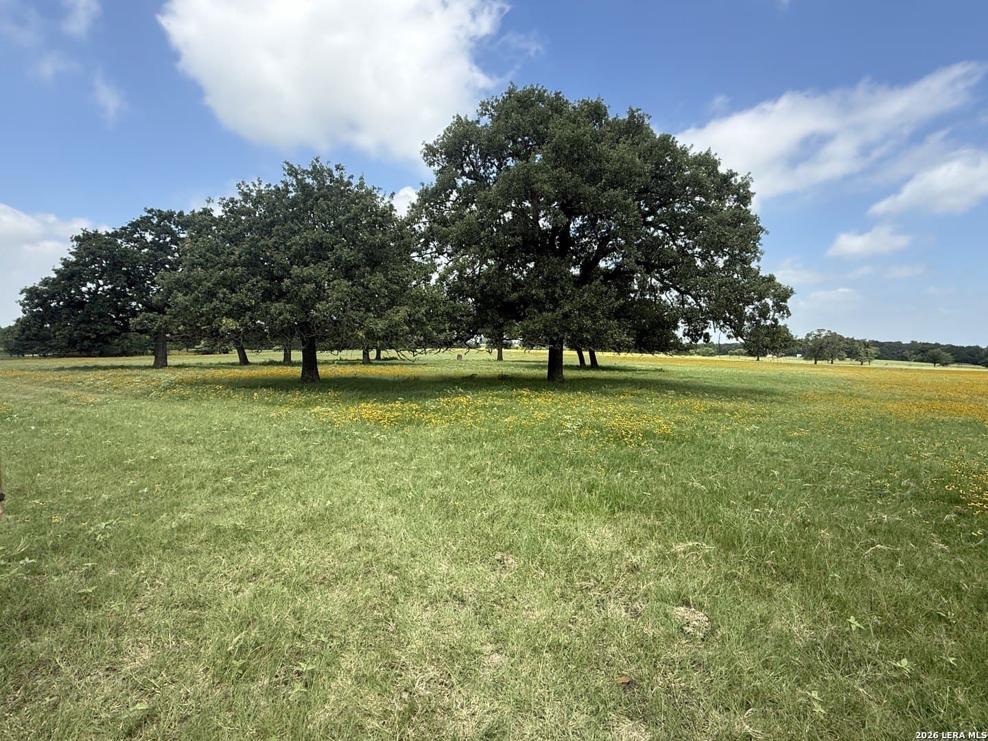 34.34 acres in Falls County - photo 13