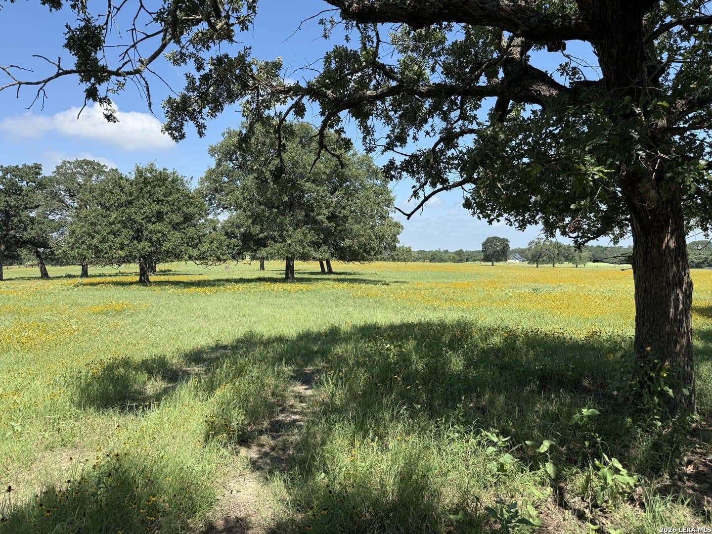 34.34 acres in Falls County - photo 8
