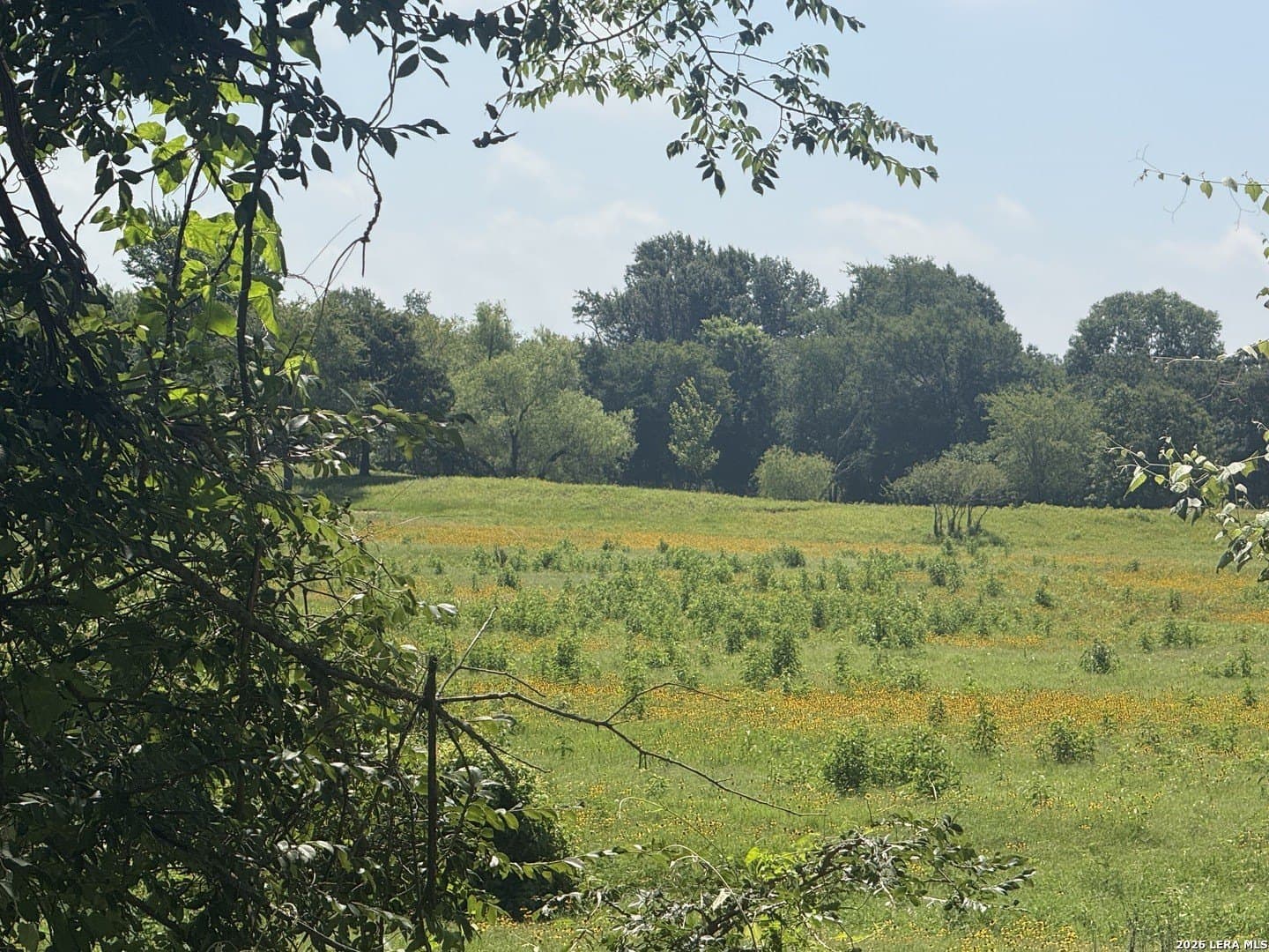 34.34 acres in Falls County - photo 6
