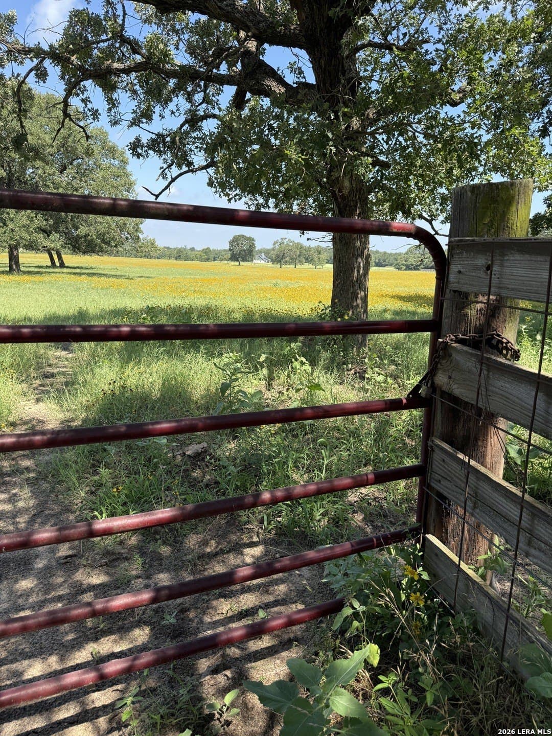 34.34 acres in Falls County - photo 31