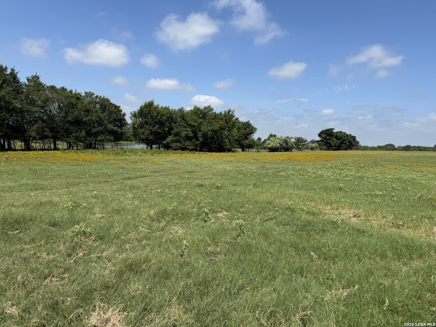 34.34 acres in Falls County - photo 12
