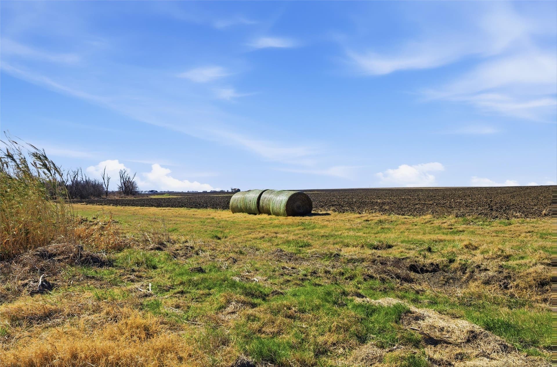 22.08 acres in Hill County - photo 16