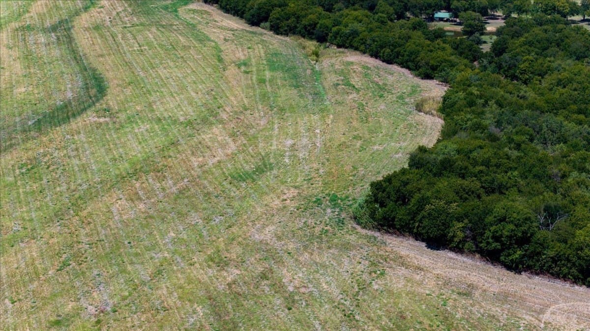 22.08 acres in Hill County - photo 4